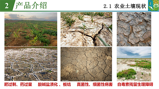 菌吾�l�研农业���_09.jpg