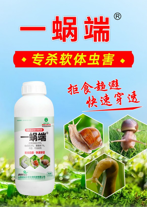 一蜗端�Q�对软体动物作用特异�Q?德威本草_01.jpg
