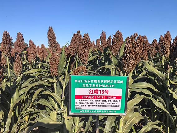 寰俊鍥劇墖_20250218102107.jpg 寰俊鍥劇墖_20250218102107.jpg