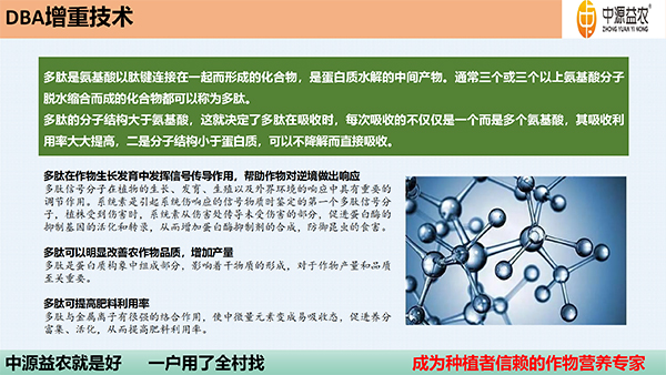 DBA增重剂_09.jpg