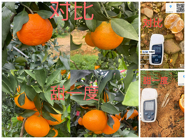 寰俊鍥劇墖_20250315090242.jpg 寰俊鍥劇墖_20250315090242.jpg