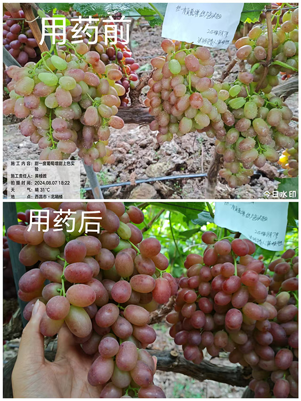 寰俊鍥劇墖_20250315090314.jpg 寰俊鍥劇墖_20250315090314.jpg