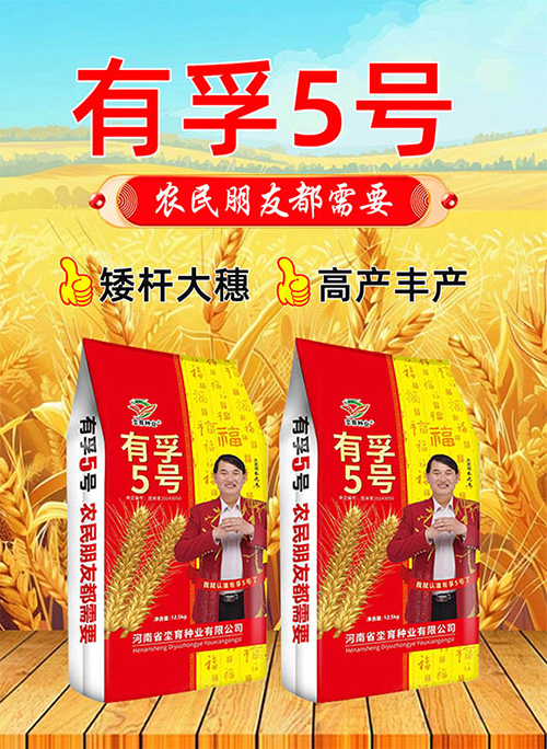 鏈爣棰?1.jpg 鏈爣棰?1.jpg