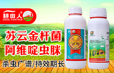 ���ϸ������r�I(y��)�Ƽ����޹�˾