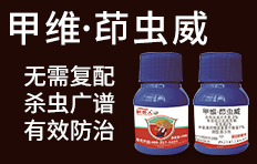 ���ϸ������r�I(y��)�Ƽ����޹�˾