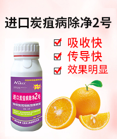 �����r�󼯈F