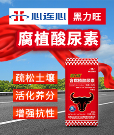 �������B�Ļ��W���I(y��)���F�ɷ����޹�˾