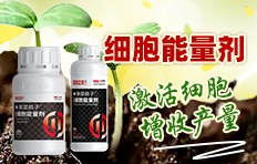 �б����r���������r�I(y��)�Ƽ��l(f��)չ���޹�˾