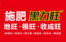 �������B�Ļ��W���I(y��)���F�ɷ����޹�˾