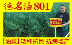 �Ĵ������N�I(y��)���޹�˾