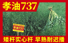 �Ĵ������N�I(y��)���޹�˾