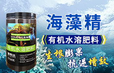 �A��(chu��ng)΢���＼�g(���_)���޹�˾