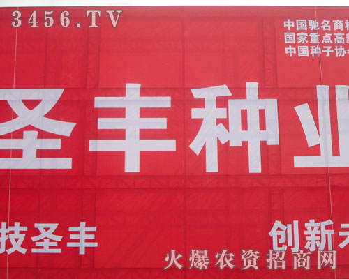 ɽ�|ʥ�S�N�I(y��)