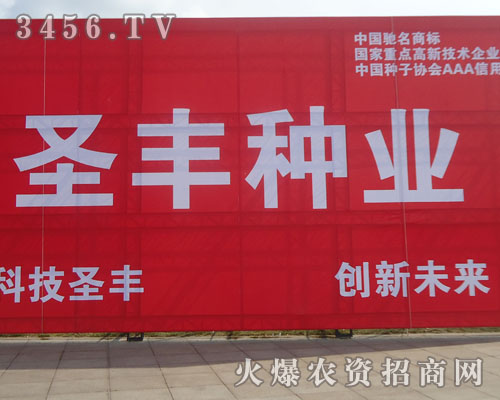 山東圣豐種業(yè)有限公司