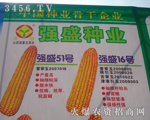 山西強(qiáng)盛種業(yè)有限公司