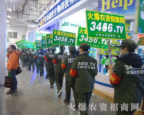 ����ʮ�����҂�ӭ��ɽ�|ֲ����