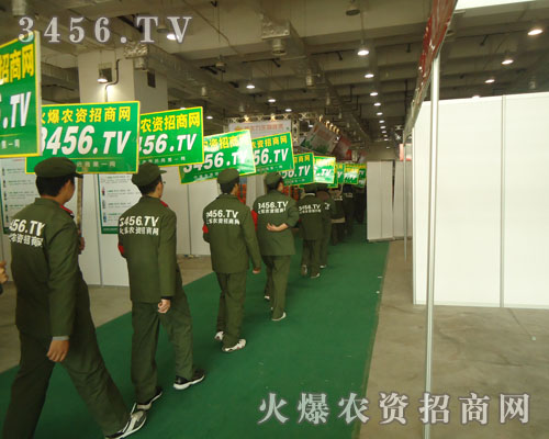 ����������ˑB(t��i)�����̲��ε���Ӱ