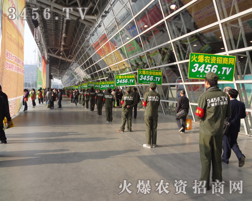 火爆團隊粲然升起那躍動的渴望