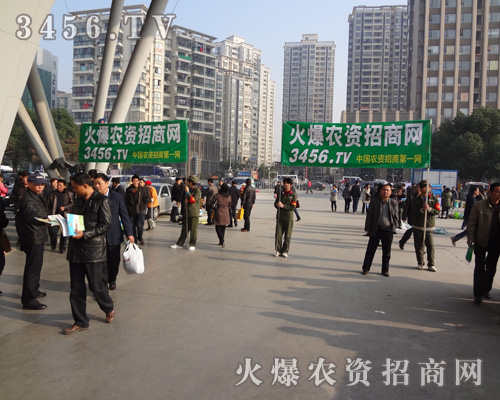 ��������һ���ʺ����Ǿ���ƴ��