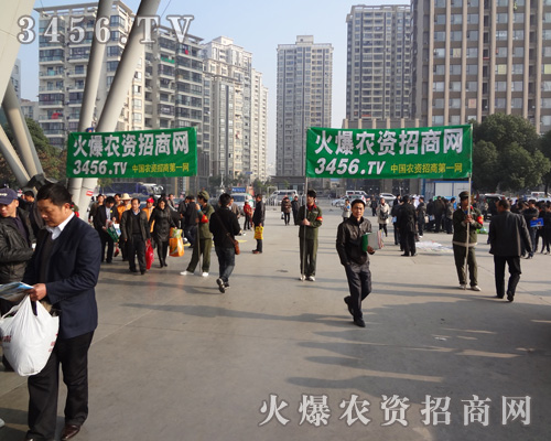 �͑���Ч�棬�҂���������