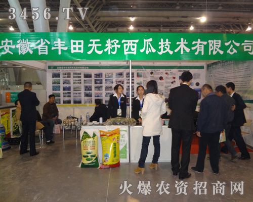 安徽省豐田無(wú)籽西瓜技術(shù)有限公司