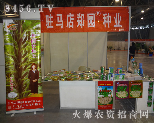 �v�R�����@�N�I(y��)