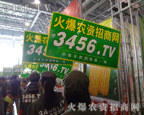 ���p�����г���Ļ𱬾W(w��ng)