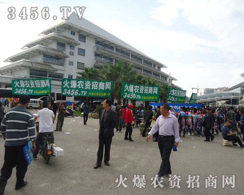 �Ԉ�(zh��)�����^���ľ����L(f��ng)ò��Ⱦ������(hu��)�ˣ�