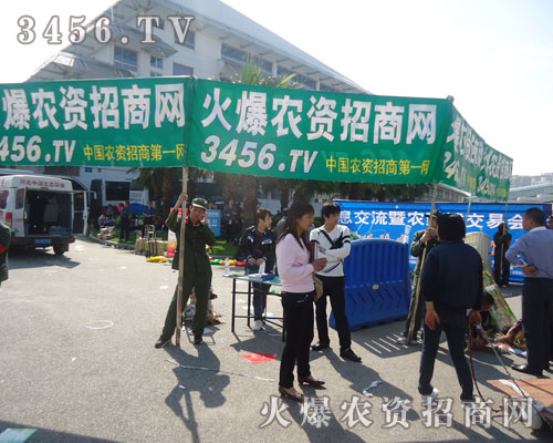 ���R��Ŀ�Ļ������(du��)