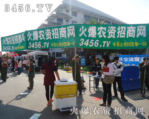 �ߵ������������҂���ͦ�ļ�����