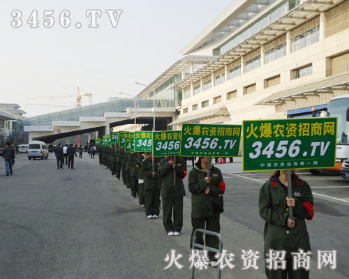 �Є��ǳɹ����µ�������