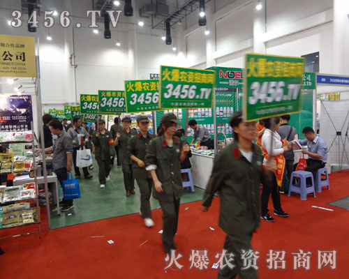 ���������A�ھGɫ