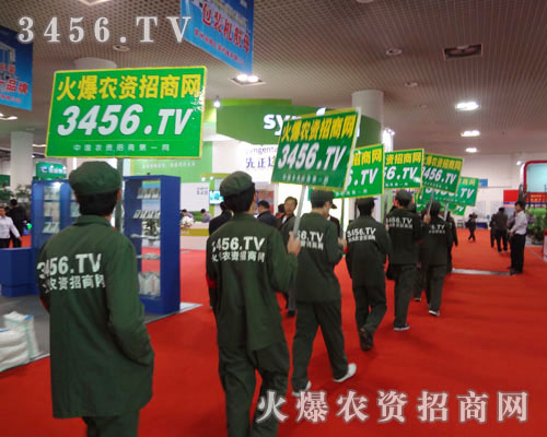 �𱬾W(w��ng)�T���ˏ�(qi��ng)�ݵ�Ӱ���