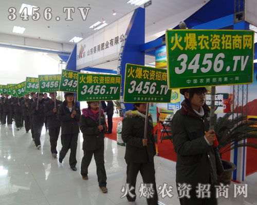 ���M����(zh��n)��·�������r(n��ng)�Y���̾W(w��ng)���(du��)���˿s���ŗ�