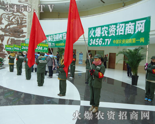 �𱬴�M���ĳ���׌�����ǰһ��