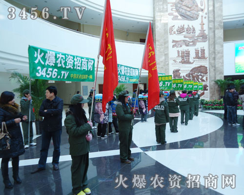 �𱬴�M���������������Ǹ�