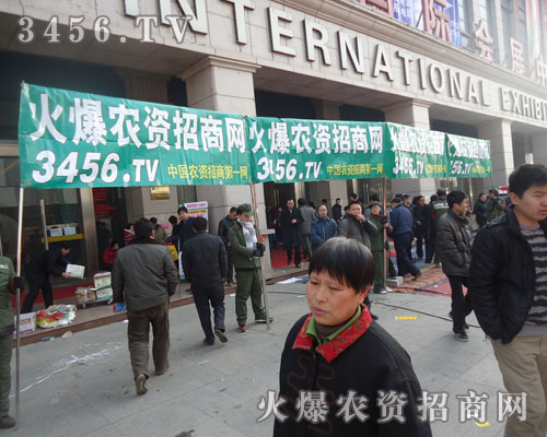 ������һ��һ����ӡ�߳�����