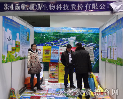 ��������Ƽ�