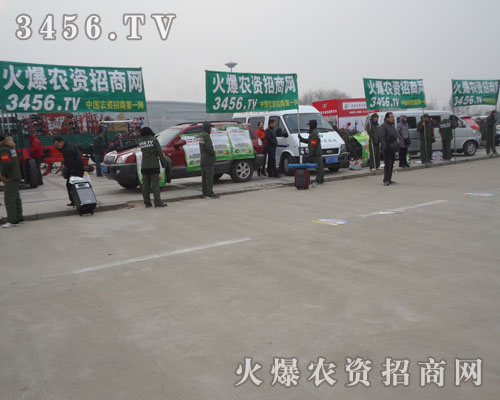 3456.TV���҂�������