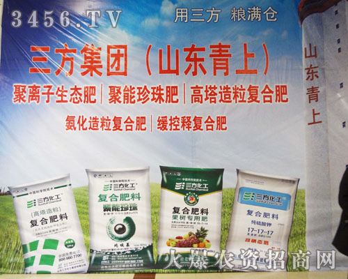 山東三方化工集團