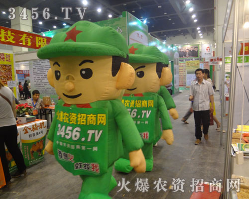 ��ͨ��ģ������(zh��n)ʿչʾ���W(w��ng)վ�����c�L��