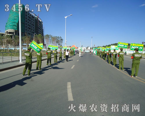 ���r(n��ng)�Y���̾W(w��ng)�ľGɫ܊�b��(zh��n)ʿ������L(f��ng)�l(f��)