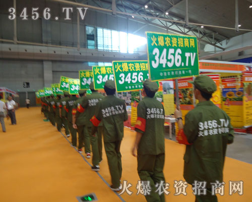 ���r(n��ng)�Y���̾W(w��ng)�ĶȺ�Ӱ����܉�õ��󲽵Ŀ�Խ