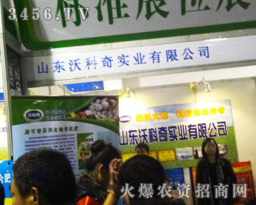 ɽ�|�ֿ��挍(sh��)�I(y��)���޹�˾