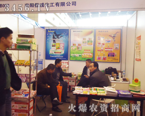 ��ꖰ�������