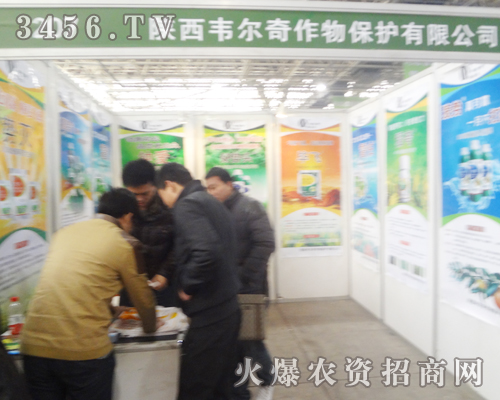 2013�ӱ�ֲ����(hu��)������f����e�O��չ��