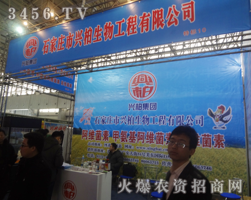 �d��������2013�ӱ�ֲ���p����(hu��)����������