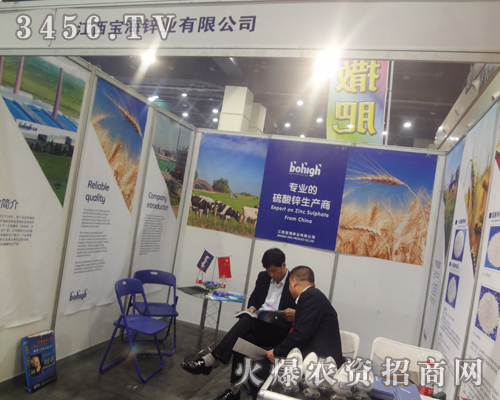 �����\�I(y��)���酢չ2013�����p������