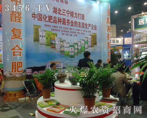 �������������W���ǈ�