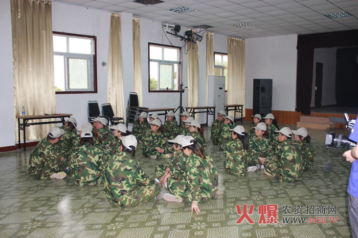 ���ɰ�--����